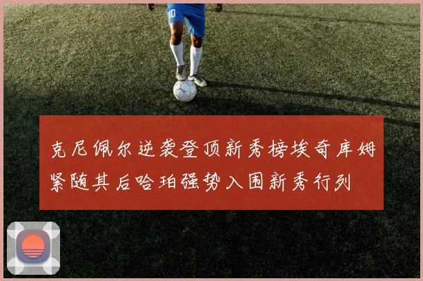 克尼佩尔逆袭登顶新秀榜埃奇库姆紧随其后哈珀强势入围新秀行列